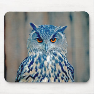 SnyVT Blue Uhu Raptor Uggla Musmatta