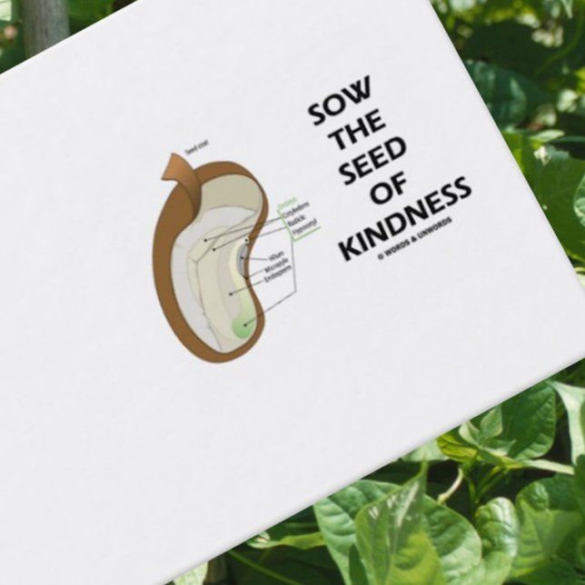 Sö av indness (Dicotyledon Bean Seed) Visitkort (Dicotyledon bean biz card for anyone who wishes to encourage others to 
"Sow The Seed Of Kindness")