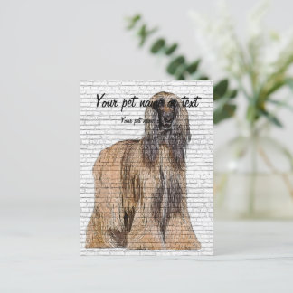 So Beautiful, Afghan Hound Dog Vykort
