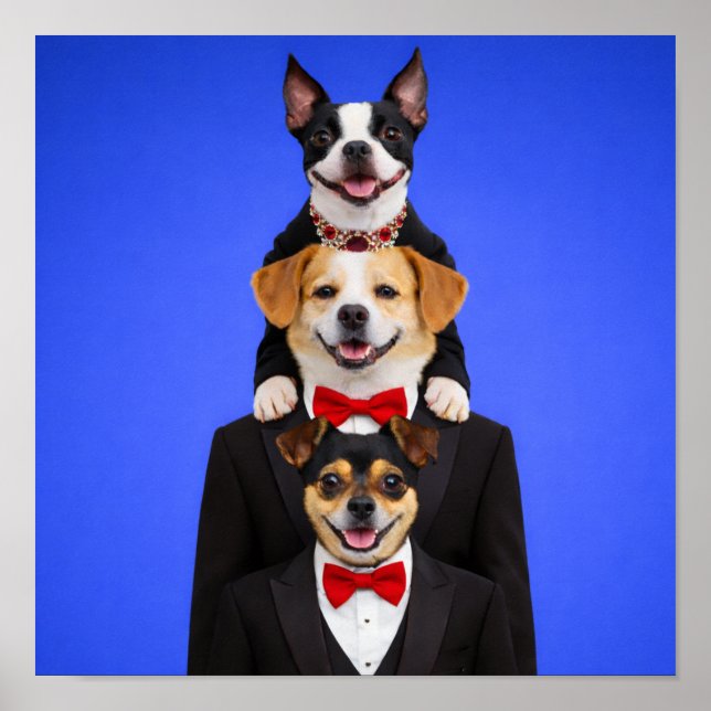 "So Happy Together" Poster (Framsidan)