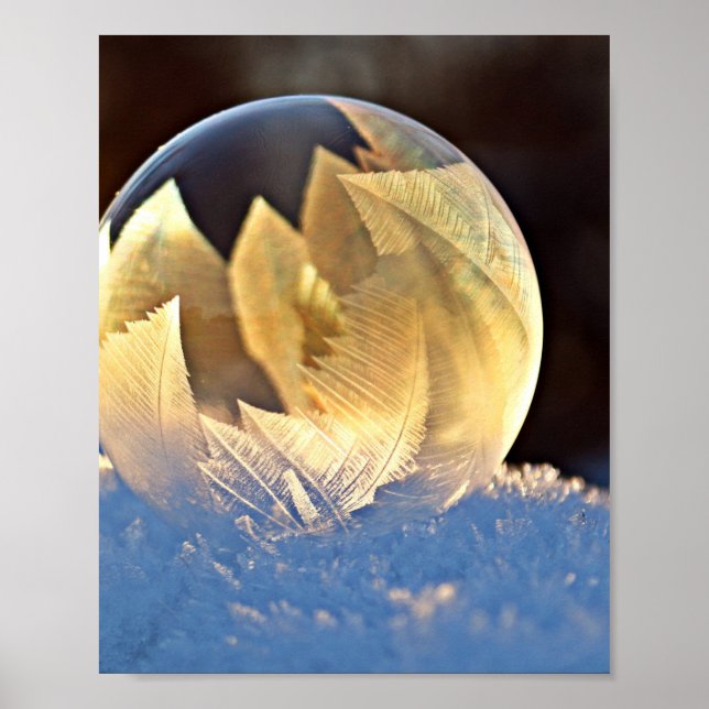 Soap Bubble på Snö Poster (Framsidan)