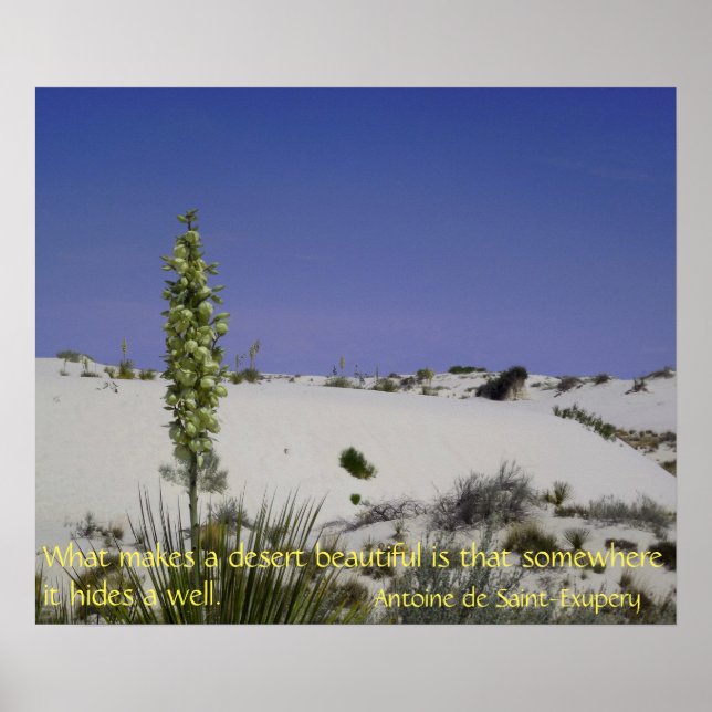 Soapweed Yucca Poster (Framsidan)