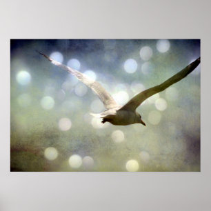 Soar 3 poster