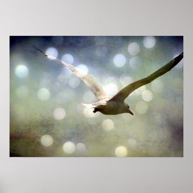 Soar 3 poster (Framsidan)