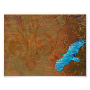 Soar Grunge Fototryck