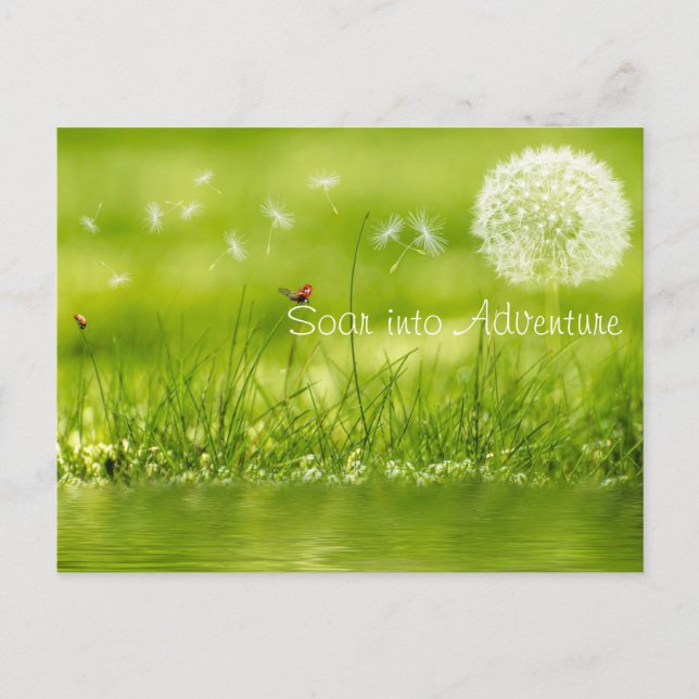 Soar in i Äventyr Vykort (Framsida)