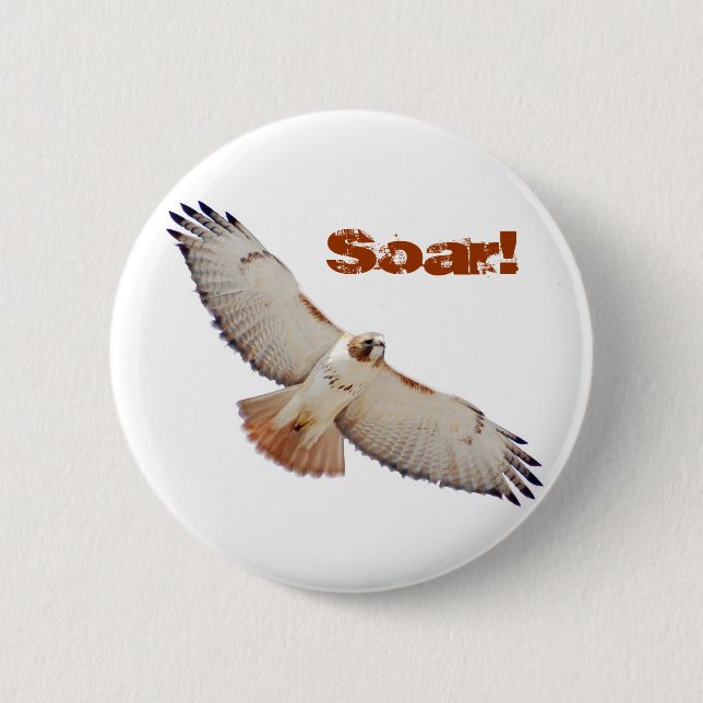 Soar Knapp (Framsida)
