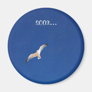 Soar… Magnet