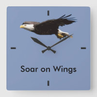 "Soar på vingar örn i flyg