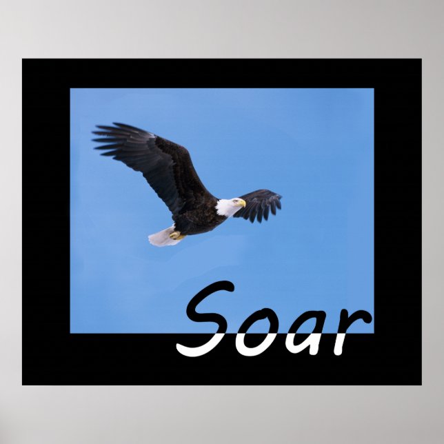 Soar Poster (Framsidan)