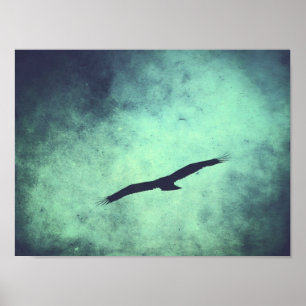 Soar Poster