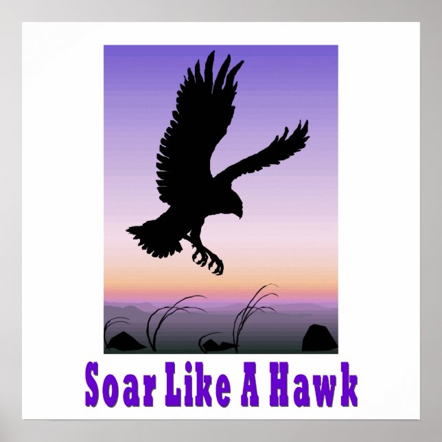 Soar som en Hawk Poster. Poster (Framsidan)