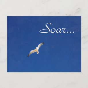 Soar Vykort