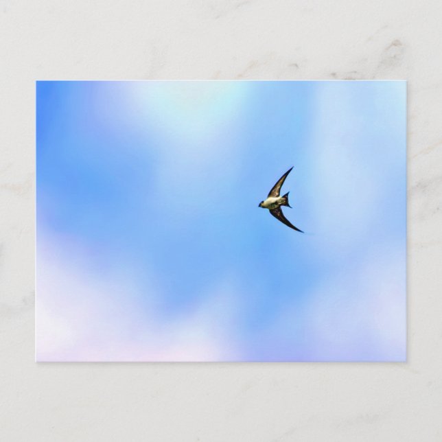 Soar Vykort (Framsida)