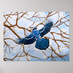 Soaring blått Jay Poster