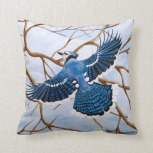 Soaring Blue Jay Kudde