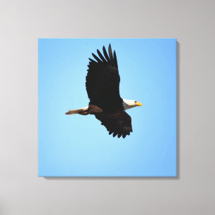 Soaring Eagle Canvastryck