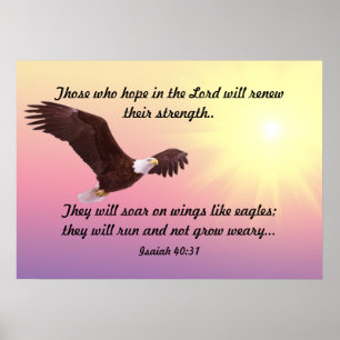 Soaring Eagle Poster
