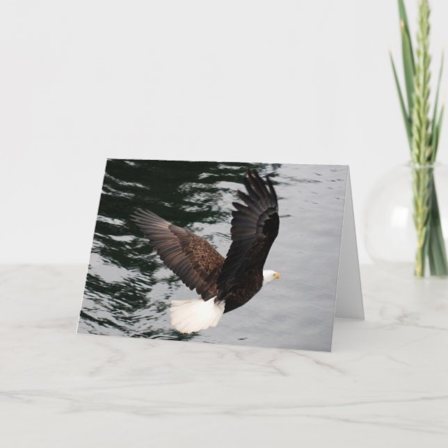 soaring för örn kort (Framsida)