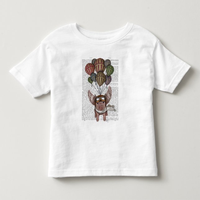 Soaring Gris T Shirt (Framsida)