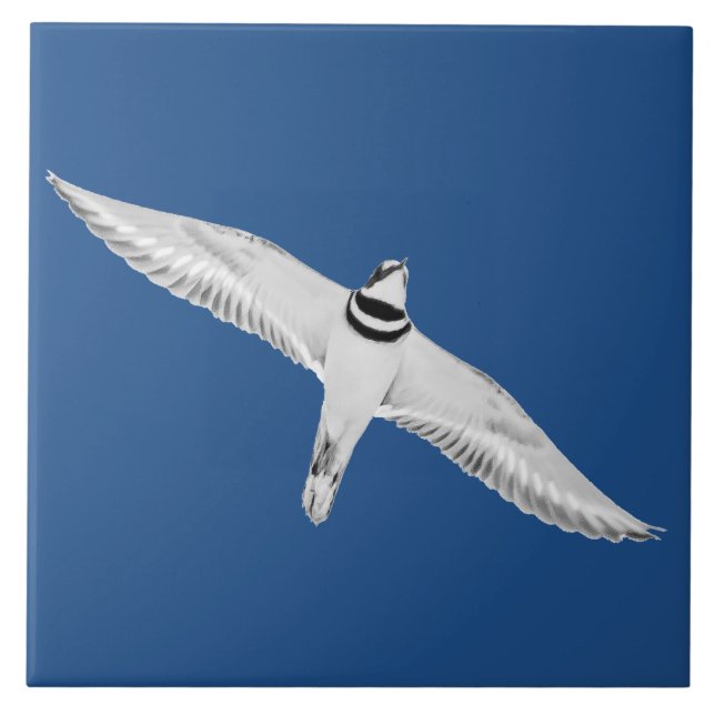 Soaring Killdeer Kakelplatta (Framsidan)