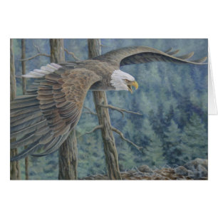 Soaring kort för örn