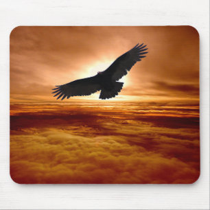 Soaring Musmatta