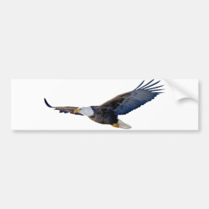 Soaring örn bildekal