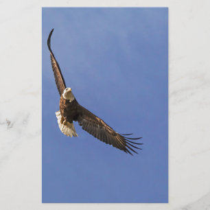 Soaring örn brevpapper