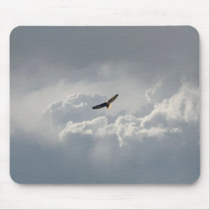 Soaring örn musmatta