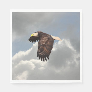 SOARING ÖRN PAPPERSSERVETT