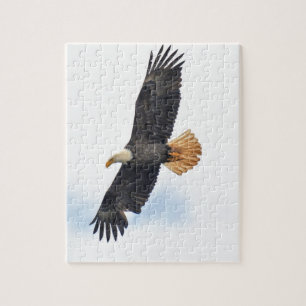 Soaring Örn Wildife Photo Art Pussel