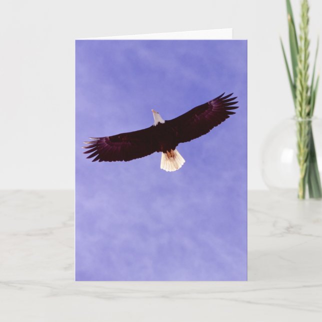 Soaring örnhälsningkort kort (Framsida)