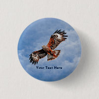 Soaring Red Kite