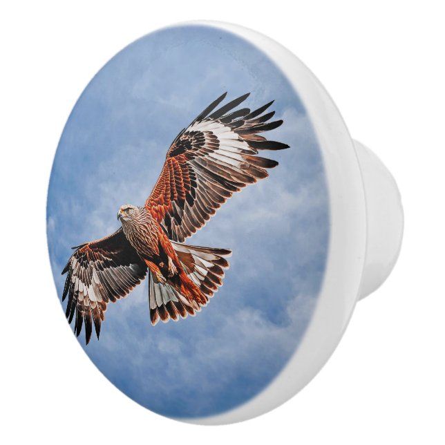 Soaring Red Kite Knopp (Höger)