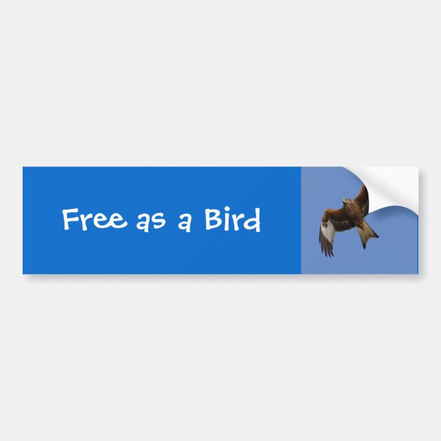 Soaring röd drake bildekal (Framsidan)