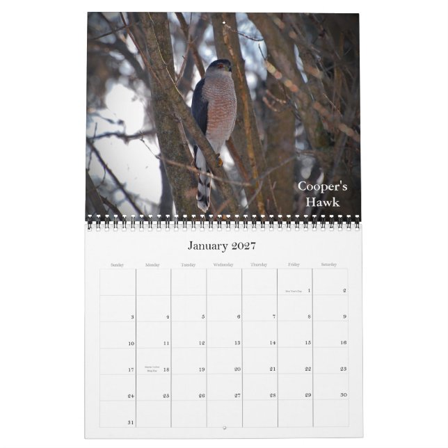 Soaring till nya höjder kalender (Jan 2027)