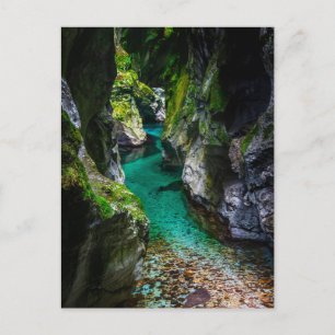 Soca gorge i Slovenien Vykort