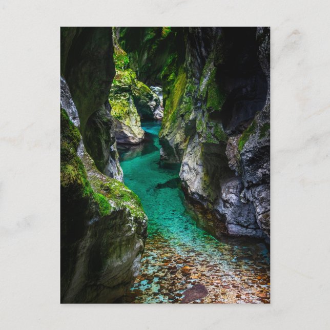 Soca gorge i Slovenien Vykort (Framsida)
