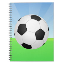 Soccer Ball Sunny Day