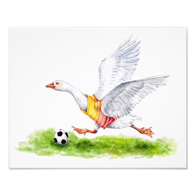 Soccer Goose Fototryck (Framsidan)