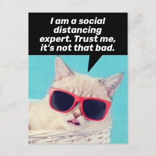 Social Avstånd kattfrämjande och kattbearbetning Vykort