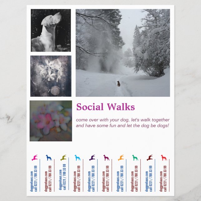 Social Dog går Ripp Av  Reklamblad (Framsidan)
