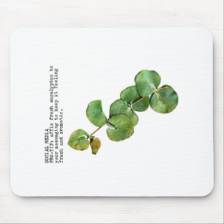 Social Media ProTip: Eucalyptus Musmatta