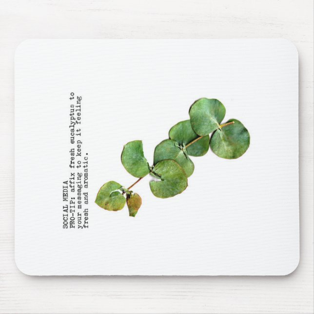 Social Media ProTip: Eucalyptus Musmatta (Framsidan)