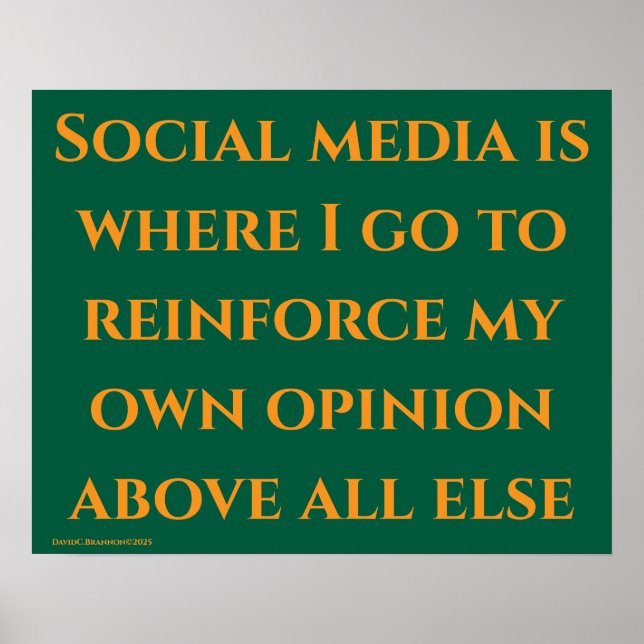 "Social Media", satire, humor, society Poster (Framsidan)