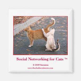Social nätverkande för kattmagnet magnet