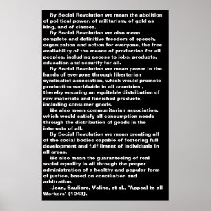 Social Revolution poster