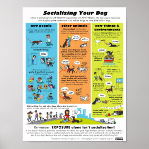 Socialisera din Hund Poster