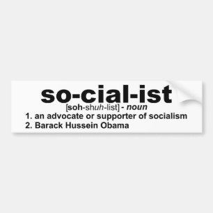 Socialist Bildekal